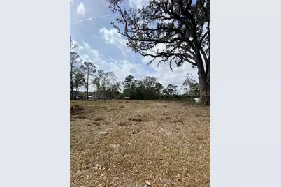 Tbd SW 9th Street, Williston, FL 32696 - Photo 2