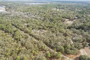 161 Hall Rd, Melrose, FL 32666 - Photo 52