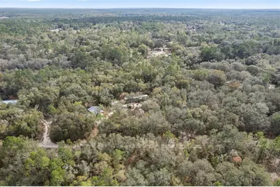 161 Hall Road, Melrose, FL 32666 - Photo 50