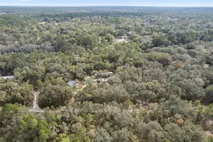 161 Hall Rd, Melrose, FL 32666 - Photo 50