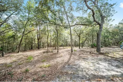 161 Hall Road, Melrose, FL 32666 - Photo 42