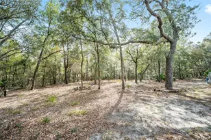 161 Hall Rd, Melrose, FL 32666 - Photo 42