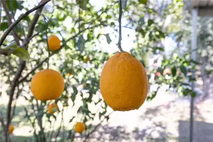 11085 E US Hwy 90, Lee, FL 32059 - Photo 24