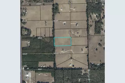 Nw 31st Street, Bell, FL 32619 - Photo 4