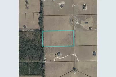 Nw 31st Street, Bell, FL 32619 - Photo 12