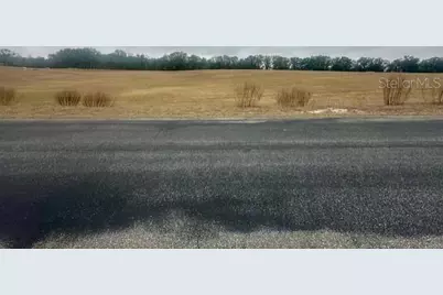 Nw 31st Street, Bell, FL 32619 - Photo 6