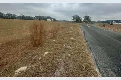 Nw 31st Street, Bell, FL 32619 - Photo 2