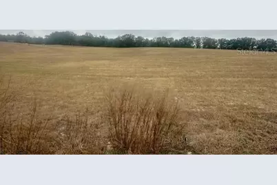 Nw 31st Street, Bell, FL 32619 - Photo 1