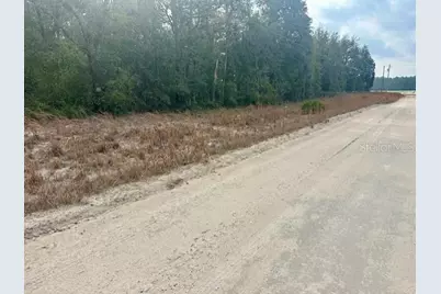 Nw 11th Avenue, Bell, FL 32619 - Photo 2