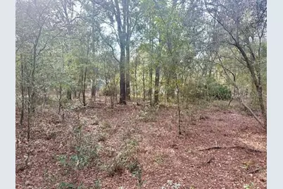 Nw 11th Avenue, Bell, FL 32619 - Photo 8