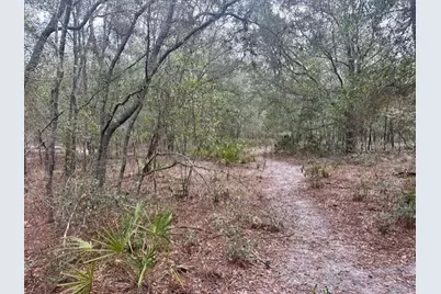 Nw 11th Avenue, Bell, FL 32619 - Photo 10