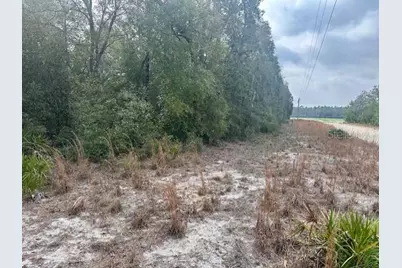 Nw 11th Avenue, Bell, FL 32619 - Photo 4