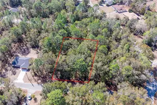 Tbd NE 2nd St Lot 10, Williston, FL 32696 - Photo 1