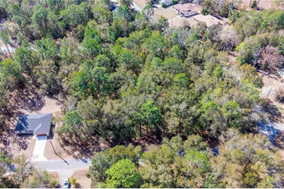 Tbd NE 2nd St, Lot 10, Williston, FL 32696 - Photo 6