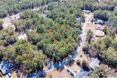 Tbd NE 1st Pl, Lot 6, Williston, FL 32696 - Photo 2