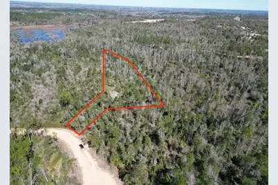 Blueberry Court, Alford, FL 32420 - Photo 1