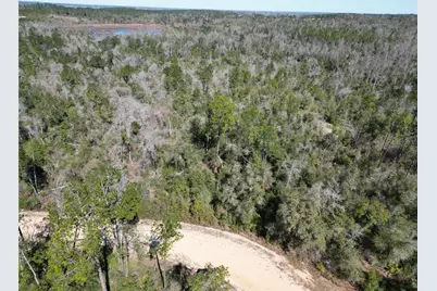 Blueberry Court, Alford, FL 32420 - Photo 4