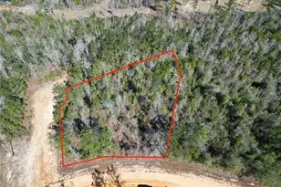 Clinton Ct, Alford, FL 32420 - Photo 1