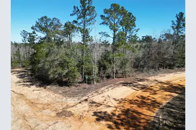 Clinton Court, Alford, FL 32420 - Photo 2