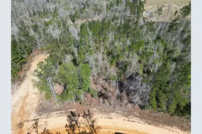 Clinton Court, Alford, FL 32420 - Photo 4