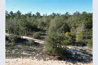 Cardinal Avenue, Marianna, FL 32448 - Photo 2