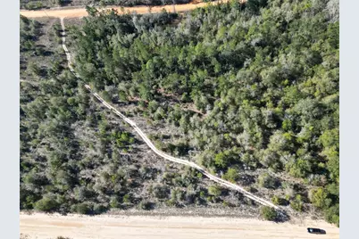 Cardinal Avenue, Marianna, FL 32448 - Photo 6