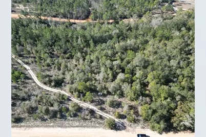 Cardinal Avenue, Marianna, FL 32448 - Photo 4