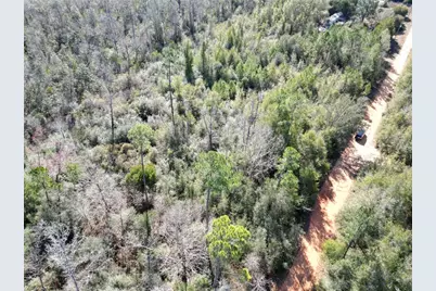 McKinney Lane, Alford, FL 32420 - Photo 2