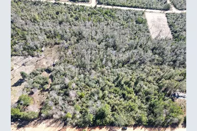 McKinney Lane, Alford, FL 32420 - Photo 4