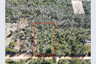 McKinney Lane, Alford, FL 32420 - Photo 1