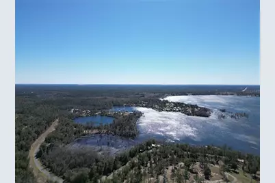 McKinney Lane, Alford, FL 32420 - Photo 6