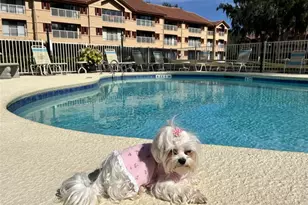 99 Broad River Pl, Welaka, FL 32193 - Photo 30