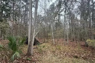 7078 NW 52nd Terrace, Gainesville, FL 32653 - Photo 22