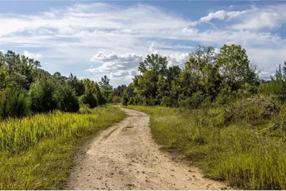0 173rd Place, Inglis, FL 34449 - Photo 4