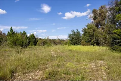 0 173rd Place, Inglis, FL 34449 - Photo 6
