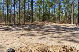 670 NE 149 Ct, Williston, FL 32696 - Photo 22