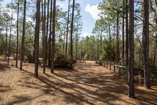 110 Hill Top Loop, Hawthorne, FL 32640 - Photo 44