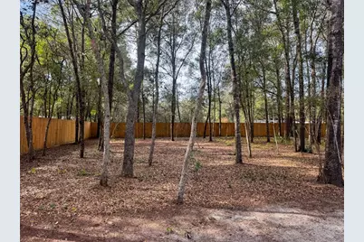 119 Pine Trail, Melrose, FL 32666 - Photo 20