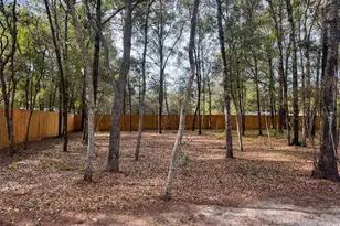 119 Pine Trail, Melrose, FL 32666 - Photo 20