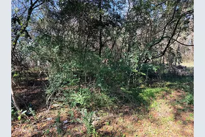 Tbd NW 151st Avenue, Alachua, FL 32615 - Photo 2