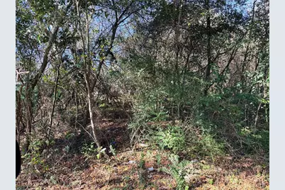 Tbd NW 151st Avenue, Alachua, FL 32615 - Photo 1