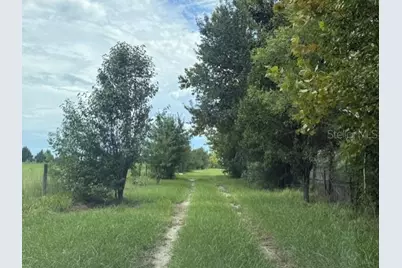 3378 W State Road 238, Lake Butler, FL 32054 - Photo 6