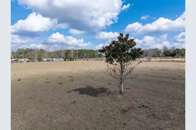 3378 W State Road 238, Lake Butler, FL 32054 - Photo 16