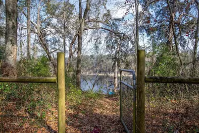 103 NE Suwannee River Drive, Mayo, FL 32066 - Photo 30