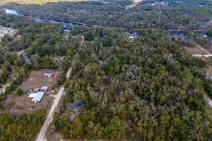 103 NE Suwannee River Dr, Mayo, FL 32066 - Photo 38