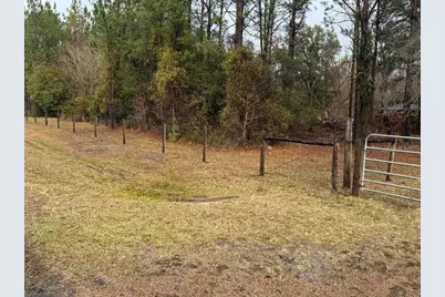 1521 SE 163rd Street, Hawthorne, FL 32640 - Photo 2