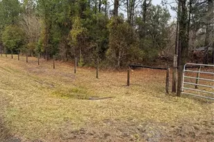 1521 SE 163rd St, Hawthorne, FL 32640 - Photo 2