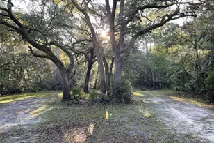 Tbd 188th Pl, Mc Alpin, FL 32062 - Photo 1