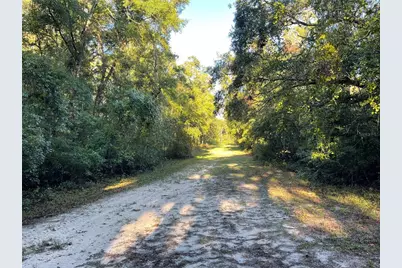 Tbd 188th Place, Mc Alpin, FL 32062 - Photo 4