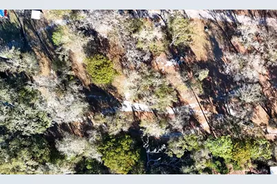 3015 Owls Nest Lane, Plant City, FL 33565 - Photo 16